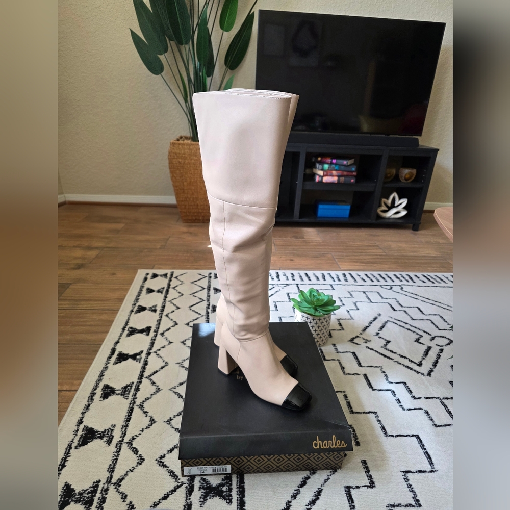 GORGEOUS Charles David Over-the-Knee Terrell Boots- New! Never Worn!